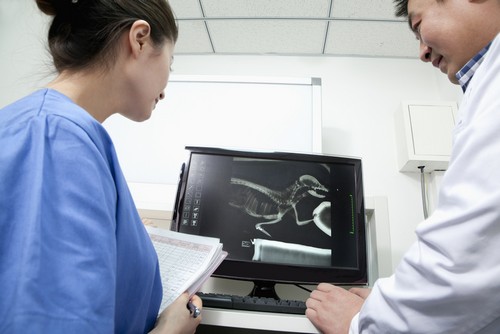 Advanced Digital X-rays Salem, OR