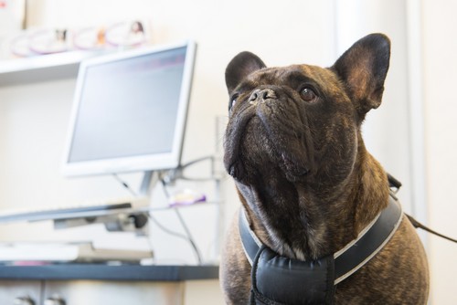 In-House Laboratory Salem, OR