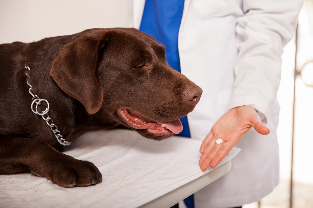 Preventative Care Salem, OR