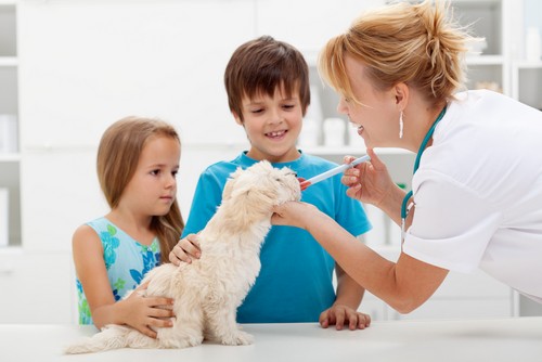 Vaccinations Salem, OR