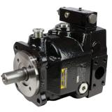 PAKER F12-060-MF-IV-D-000-000-0 Piston Pump